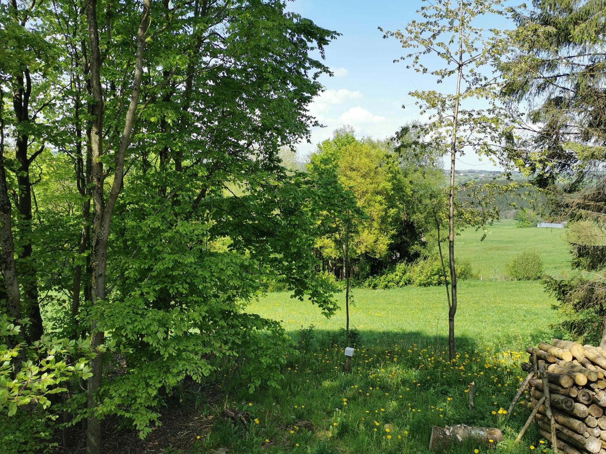 Appartamento Auwer Hills Auw bei Prum Esterno foto